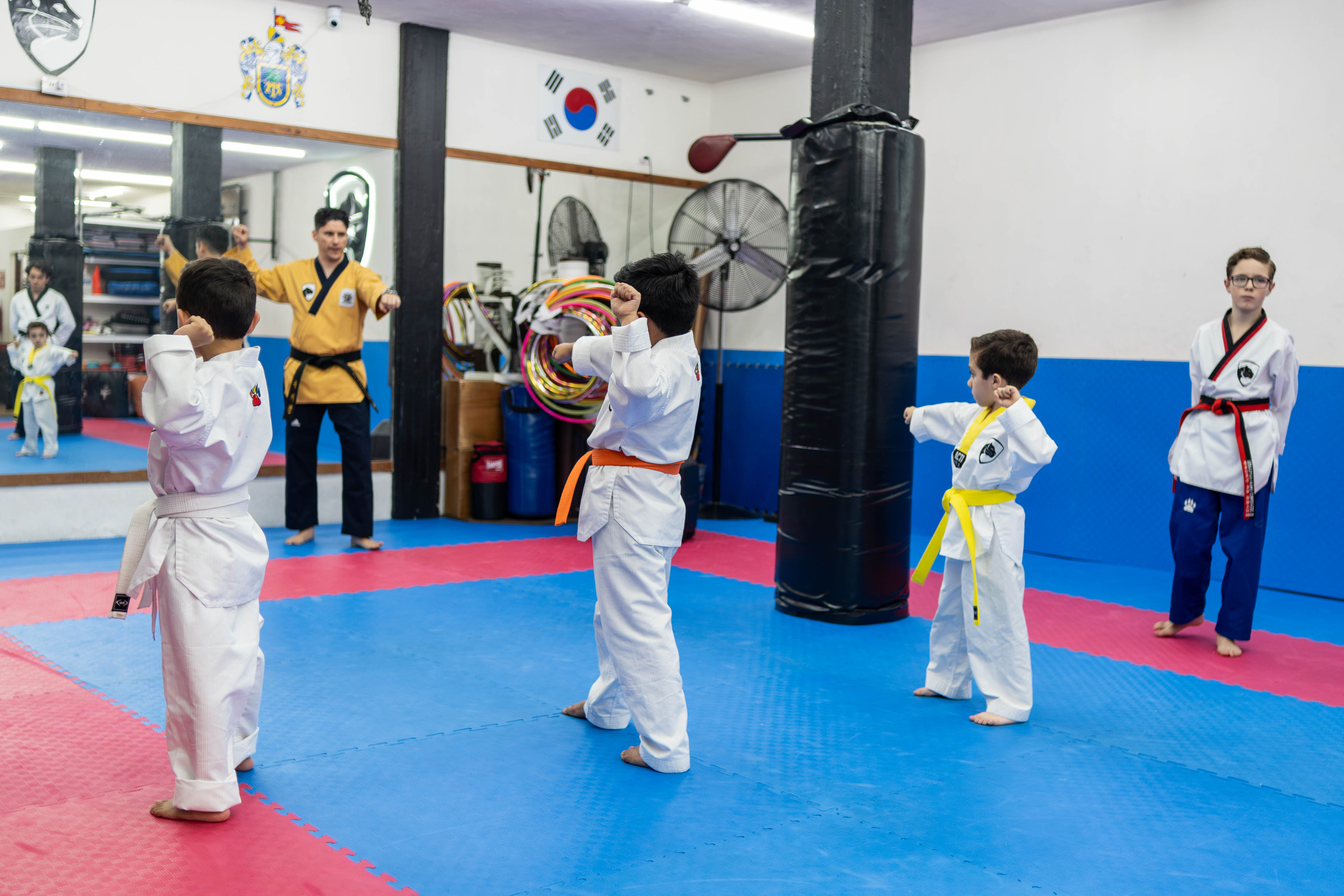 Entrenamiento de competencia